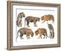 Bengal Tiger Isolated Collection-Anan Kaewkhammul-Framed Photographic Print
