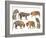 Bengal Tiger Isolated Collection-Anan Kaewkhammul-Framed Photographic Print