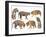 Bengal Tiger Isolated Collection-Anan Kaewkhammul-Framed Photographic Print