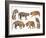 Bengal Tiger Isolated Collection-Anan Kaewkhammul-Framed Photographic Print