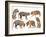 Bengal Tiger Isolated Collection-Anan Kaewkhammul-Framed Photographic Print