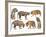 Bengal Tiger Isolated Collection-Anan Kaewkhammul-Framed Photographic Print