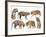 Bengal Tiger Isolated Collection-Anan Kaewkhammul-Framed Photographic Print