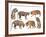 Bengal Tiger Isolated Collection-Anan Kaewkhammul-Framed Photographic Print