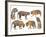 Bengal Tiger Isolated Collection-Anan Kaewkhammul-Framed Photographic Print