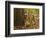 Bengal Tiger, Madhya Pradesh, Bandhavgarh National Park, India-Joe & Mary Ann McDonald-Framed Photographic Print