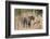 Bengal tiger (Panthera Tigris), Bandhavgarh National Park, Madhya Pradesh, India, Asia-Sergio Pitamitz-Framed Photographic Print