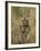 Bengal Tiger, (Panthera Tigris Tigris), Bandhavgarh, Madhya Pradesh, India-Thorsten Milse-Framed Photographic Print