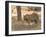 Bengal Tiger, (Panthera Tigris Tigris), Bandhavgarh, Madhya Pradesh, India-Thorsten Milse-Framed Photographic Print