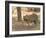 Bengal Tiger, (Panthera Tigris Tigris), Bandhavgarh, Madhya Pradesh, India-Thorsten Milse-Framed Photographic Print