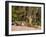 Bengal Tiger, Panthera Tigris Tigris, Bandhavgarh National Park, Madhya Pradesh, India, Asia-Thorsten Milse-Framed Photographic Print