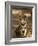 Bengal Tiger, Panthera Tigris Tigris, Bandhavgarh National Park, Madhya Pradesh, India, Asia-Thorsten Milse-Framed Photographic Print