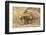 Bengal tiger (Panthera tigris tigris), Bandhavgarh National Park, Madhya Pradesh, India, Asia-Sergio Pitamitz-Framed Photographic Print