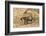 Bengal tiger (Panthera tigris tigris), Bandhavgarh National Park, Madhya Pradesh, India, Asia-Sergio Pitamitz-Framed Photographic Print