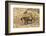 Bengal tiger (Panthera tigris tigris), Bandhavgarh National Park, Madhya Pradesh, India, Asia-Sergio Pitamitz-Framed Photographic Print