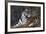 Bengal Tiger, Panthera Tigris Tigris, Bandhavgarh National Park, Madhya Pradesh, India-Kim Sullivan-Framed Photographic Print