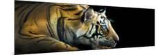 Premium Photographic Print