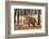 Bengal tiger (Panthera tigris tigris), India-Panoramic Images-Framed Photographic Print