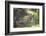 Bengal Tiger, Ranthambhore National Park, Rajasthan, India, Asia-Janette Hill-Framed Photographic Print