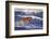 Bengal Tiger Running along the Beach-DLILLC-Framed Photographic Print