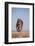 Bengal Tiger Running on Beach-DLILLC-Framed Photographic Print