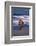 Bengal Tiger Running on Beach-DLILLC-Framed Photographic Print