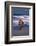 Bengal Tiger Running on Beach-DLILLC-Framed Photographic Print