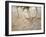 Bengal Tiger Running Through Grass, Bandhavgarh National Park India-E.a. Kuttapan-Framed Photographic Print