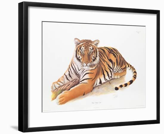 Bengal Tiger-Sean Bollar-Framed Collectable Print