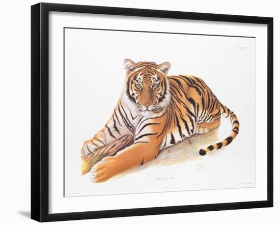 Bengal Tiger-Sean Bollar-Framed Collectable Print