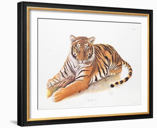 Bengal Tiger-Sean Bollar-Framed Collectable Print