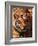 Bengal Tiger-Adam Jones-Framed Photographic Print