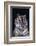 Bengal Tiger-DLILLC-Framed Photographic Print