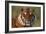 Bengal Tiger-DLILLC-Framed Photographic Print