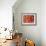 Bengal Tiger-Mark Adlington-Framed Giclee Print displayed on a wall