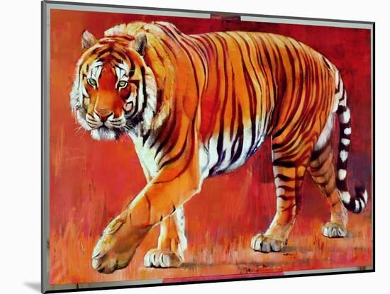 Bengal Tiger-Mark Adlington-Mounted Giclee Print