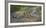 Bengal tigers, Bandhavgarh National Park, India-Art Wolfe-Framed Photographic Print