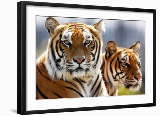 Photo, , large