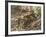 Bengal Tigers, Panthera Tigris Tigris, Bandhavgarh National Park, Madhya Pradesh, India-Thorsten Milse-Framed Photographic Print