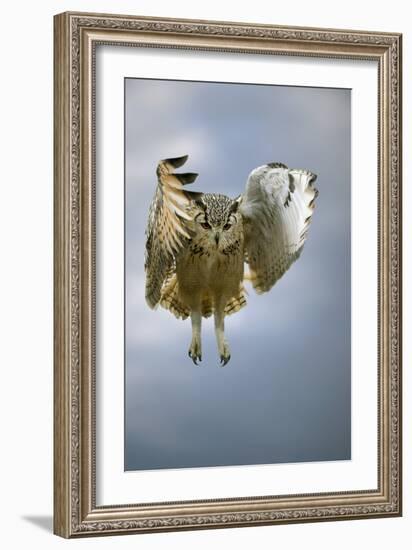 Bengalese Eagle Owl In Flight-Linda Wright-Framed Photographic Print