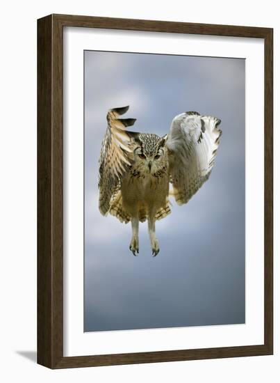 Bengalese Eagle Owl In Flight-Linda Wright-Framed Photographic Print