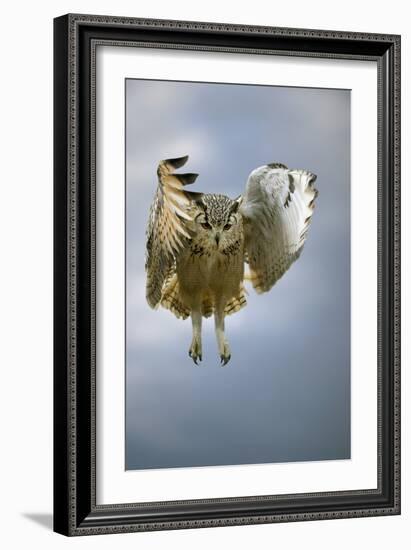 Bengalese Eagle Owl In Flight-Linda Wright-Framed Photographic Print