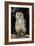 Bengalese Eagle Owl-Linda Wright-Framed Photographic Print