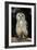 Bengalese Eagle Owl-Linda Wright-Framed Photographic Print