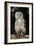 Bengalese Eagle Owl-Linda Wright-Framed Photographic Print