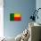 Benin Flag Design with Wood Patterning - Flags of the World Series-Philippe Hugonnard-Art Print displayed on a wall