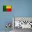 Benin Flag Design with Wood Patterning - Flags of the World Series-Philippe Hugonnard-Art Print displayed on a wall