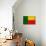 Benin Flag Design with Wood Patterning - Flags of the World Series-Philippe Hugonnard-Art Print displayed on a wall