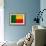 Benin Flag Design with Wood Patterning - Flags of the World Series-Philippe Hugonnard-Framed Art Print displayed on a wall