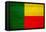 Benin Flag Design with Wood Patterning - Flags of the World Series-Philippe Hugonnard-Framed Stretched Canvas